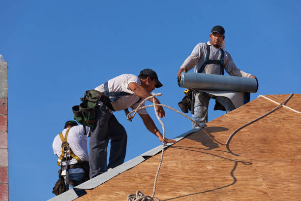 Best Roof Waterproofing Services  in Powhatan Point, OH