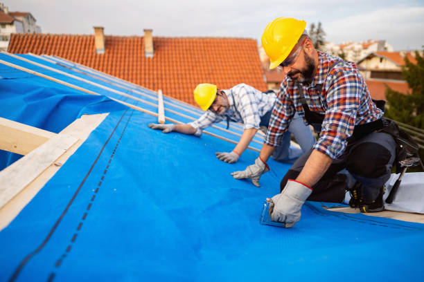 Best Gutter Installation and Roofing  in Powhatan Point, OH